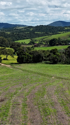 Imagem Imóvel à Venda, em Zona Rural - Careaçu Imagem Imóvel à Venda, em Zona Rural - Careaçu