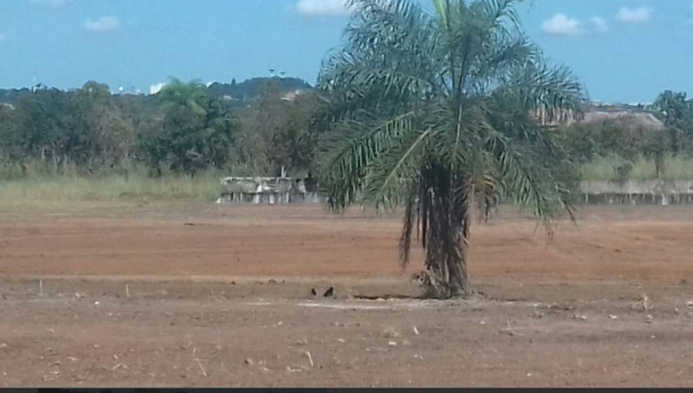 Imagem Terreno à Venda, 60.000 m² em Zona Rural - Cuiabá Imagem Terreno à Venda, 60.000 m² em Zona Rural - Cuiabá