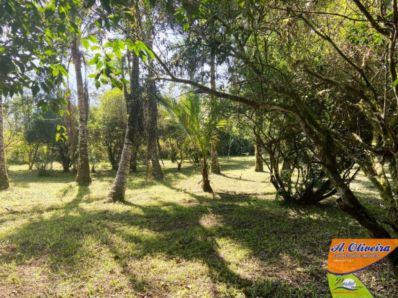 Imagem Chácara com 1 Quarto à Venda, 100 m² em Ubatumirim - Ubatuba Imagem Chácara com 1 Quarto à Venda, 100 m² em Ubatumirim - Ubatuba
