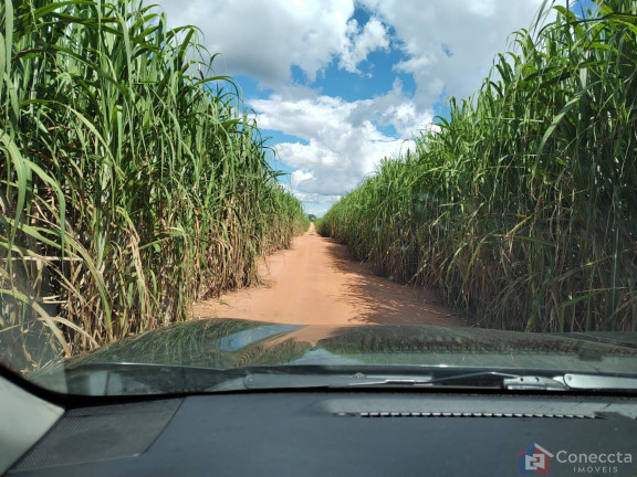 Imagem Imóvel à Venda, 8.080.000 m² em Centro - João Pinheiro