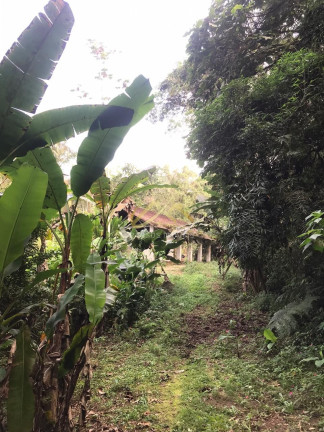 Imagem Terreno à Venda, 32 m² em Horto Florestal - Ubatuba Imagem Terreno à Venda, 32 m² em Horto Florestal - Ubatuba