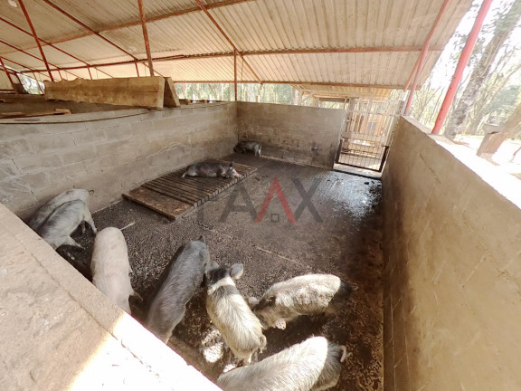 Imagem Fazenda à Venda, 24.200 m² em Morro Alto - Guarapuava Imagem Fazenda à Venda, 24.200 m² em Morro Alto - Guarapuava