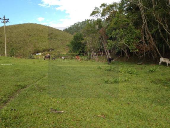 Imagem Chácara com 3 Quartos à Venda, 120 m² em Palmeiras - Natividade Da Serra Imagem Chácara com 3 Quartos à Venda, 120 m² em Palmeiras - Natividade Da Serra