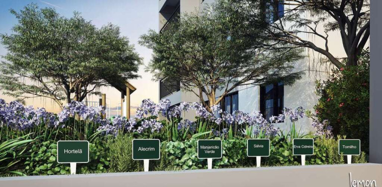 Imagem Apartamento com 2 Quartos à Venda, 42 m² em Vila Albertina - São Paulo Imagem Apartamento com 2 Quartos à Venda, 42 m² em Vila Albertina - São Paulo
