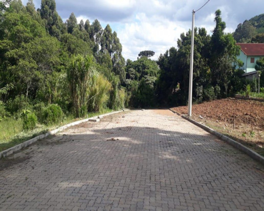Imagem Imóvel à Venda, 391 m² em Pinhal Alto - Nova Petrópolis Imagem Imóvel à Venda, 391 m² em Pinhal Alto - Nova Petrópolis
