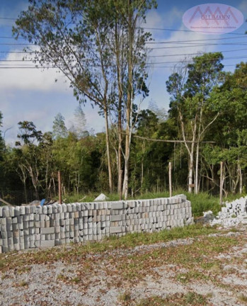 Imagem Terreno à Venda, 1.000 m² em Jardim Dos Eucaliptos - Suzano
