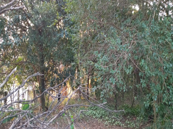 Imagem Terreno para Alugar ou Temporada, 1.510 m² em Jardim Pacaembu - Jundiaí Imagem Terreno para Alugar ou Temporada, 1.510 m² em Jardim Pacaembu - Jundiaí