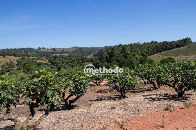 Imagem Imóvel à Venda, 56.785 m² em Feital - Morungaba Imagem Imóvel à Venda, 56.785 m² em Feital - Morungaba