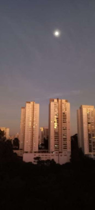Imagem Apartamento com 2 Quartos à Venda, 65 m² em Vila Andrade - São Paulo Imagem Apartamento com 2 Quartos à Venda, 65 m² em Vila Andrade - São Paulo