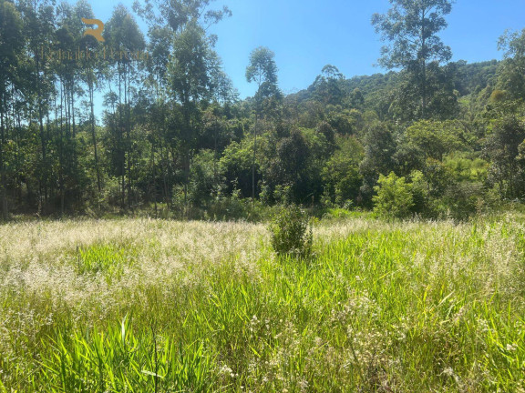 Imagem Chácara com 2 Quartos à Venda, 37.000 m² em Pinheirinho - Capela De Santana Imagem Chácara com 2 Quartos à Venda, 37.000 m² em Pinheirinho - Capela De Santana