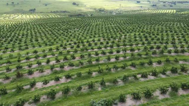 Imagem Fazenda à Venda, 121 m² em Rio Pardo - águas De Santa Bárbara Imagem Fazenda à Venda, 121 m² em Rio Pardo - águas De Santa Bárbara