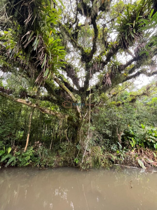 Imagem Imóvel à Venda, 163 m² em Solidão - Maquiné Imagem Imóvel à Venda, 163 m² em Solidão - Maquiné