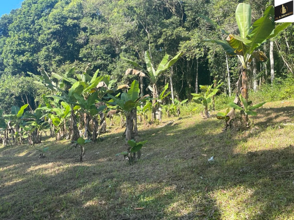 Imóvel à Venda, 20.000 m² em Zona Rural - Morretes 