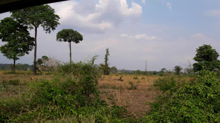 Imagem Fazenda à Venda, 242 m² em Zona Rural - Itaúba Imagem Fazenda à Venda, 242 m² em Zona Rural - Itaúba