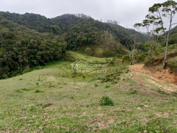 Imagem Imóvel com 2 Quartos à Venda, 180.000 m² em Pitanga - Nova Trento