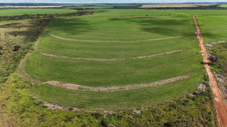 Imagem Fazenda à Venda, 195 m² em Zona Rural - Uberlândia Imagem Fazenda à Venda, 195 m² em Zona Rural - Uberlândia