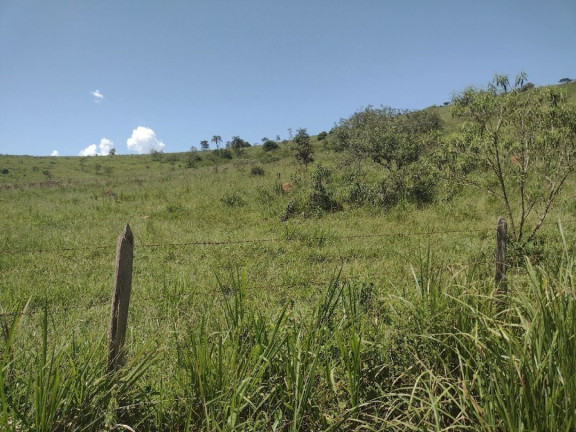 Imagem Fazenda à Venda, 100 m² em Canas - Canas Imagem Fazenda à Venda, 100 m² em Canas - Canas