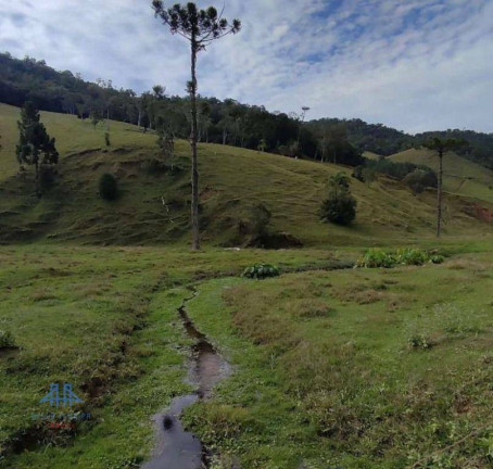 Imagem Terreno à Venda, 100.000 m² em Centro - Angelina Imagem Terreno à Venda, 100.000 m² em Centro - Angelina