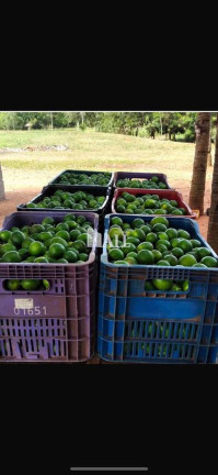 Imagem Fazenda à Venda, 130 m² em Centro - Uchoa Imagem Fazenda à Venda, 130 m² em Centro - Uchoa