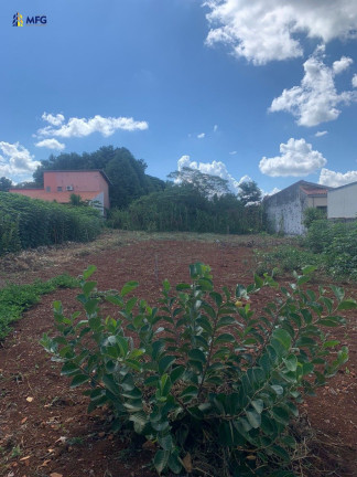Imagem Chácara à Venda, 1.000 m² em Bairro Salete - Araçoiaba Da Serra Imagem Chácara à Venda, 1.000 m² em Bairro Salete - Araçoiaba Da Serra