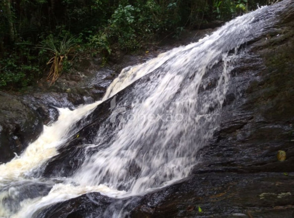 Fazenda à Venda, 100 m² em Cachoeira Grande - Lagoinha