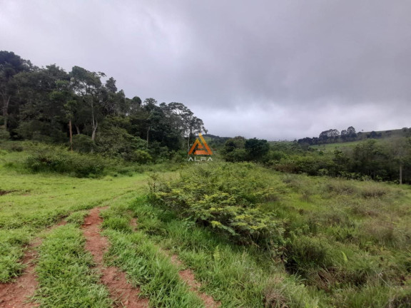 Imagem Fazenda à Venda, 540 m² em Antônio Carlos Imagem Fazenda à Venda, 540 m² em Antônio Carlos