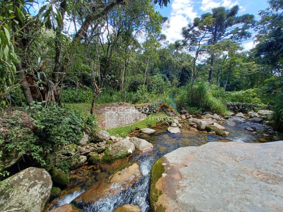 Imagem Imóvel com 4 Quartos à Venda, 110.000 m² em Vargem Grande - Teresópolis Imagem Imóvel com 4 Quartos à Venda, 110.000 m² em Vargem Grande - Teresópolis