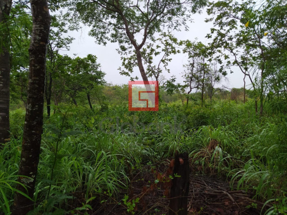 Imagem Imóvel com 3 Quartos à Venda, em Zona Rural - Montes Claros Imagem Imóvel com 3 Quartos à Venda, em Zona Rural - Montes Claros