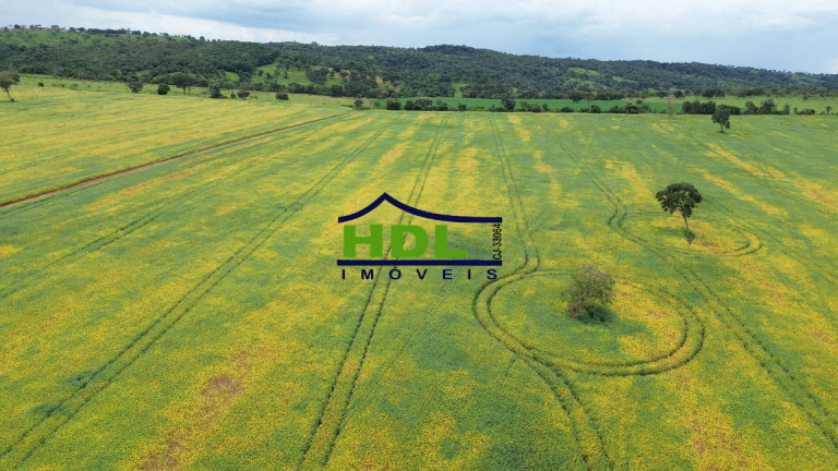 Imagem Fazenda à Venda, 106 m² em Zona Rural - Aragoiânia