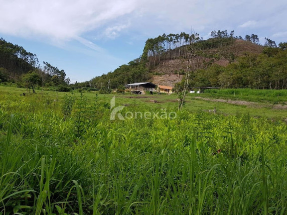 Imagem Fazenda à Venda, 90 m² em Centro - São Luíz Do Paraitinga Imagem Fazenda à Venda, 90 m² em Centro - São Luíz Do Paraitinga