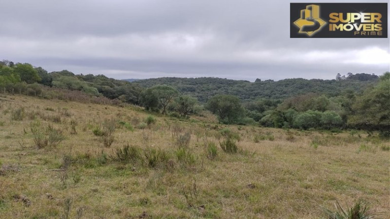 Imagem Imóvel com 4 Quartos à Venda, 2.600.000 m² em Centro - Canguçu