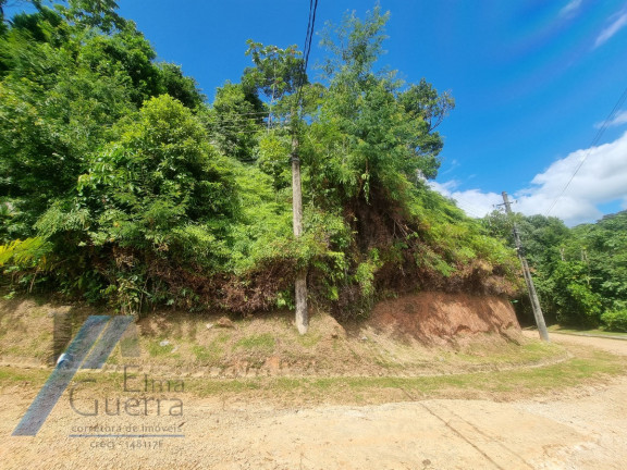 Imagem Terreno à Venda, 1.200 m² em Praia Do Pulso - Ubatuba