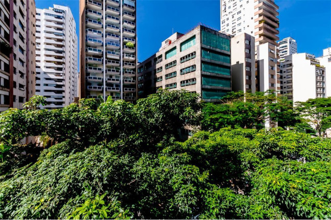 Imagem Imóvel com 4 Quartos à Venda, em Santa Cecília - São Paulo Imagem Imóvel com 4 Quartos à Venda, em Santa Cecília - São Paulo
