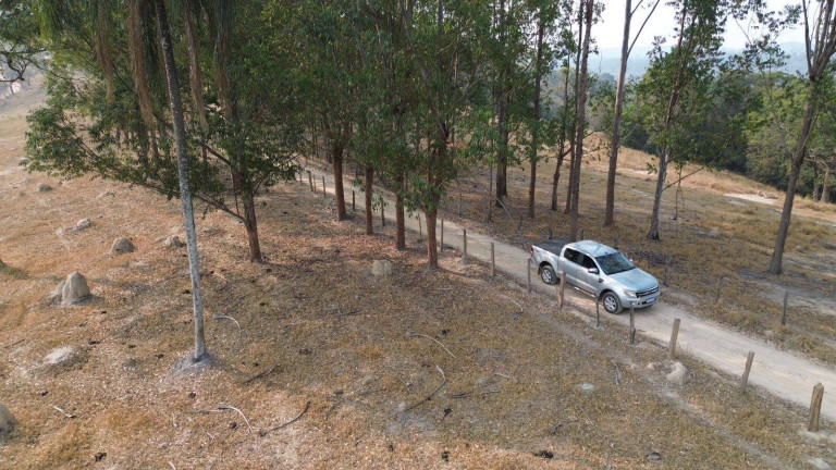 Imagem Chácara com 2 Quartos à Venda, 110.000 m² em Florestal Imagem Chácara com 2 Quartos à Venda, 110.000 m² em Florestal