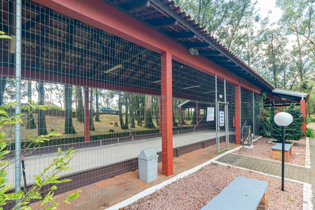 Imagem Casa com 5 Quartos à Venda, em Elsa - Viamão Imagem Casa com 5 Quartos à Venda, em Elsa - Viamão