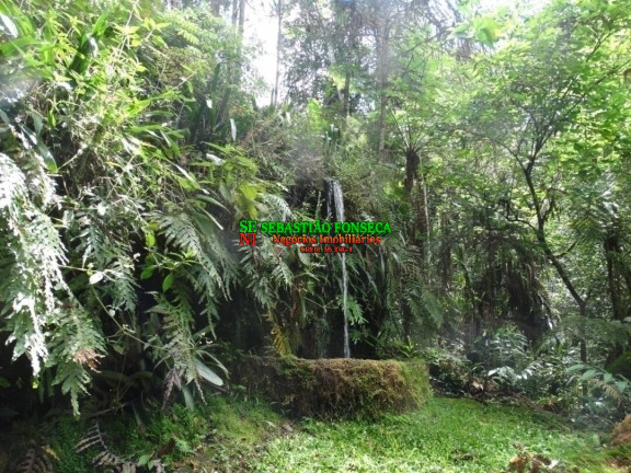 Imagem Chácara com 3 Quartos à Venda, 128.000 m² em São Francisco Xavier - São José Dos Campos Imagem Chácara com 3 Quartos à Venda, 128.000 m² em São Francisco Xavier - São José Dos Campos