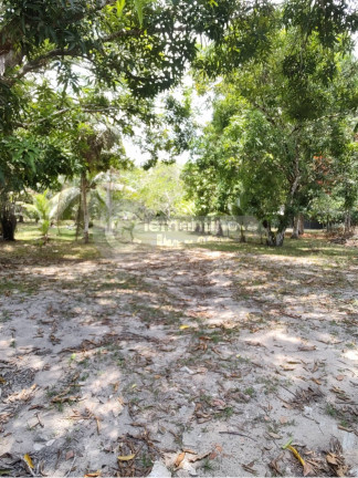 Imagem Chácara com 4 Quartos à Venda, 5.800 m² em Tarumã-açu - Manaus