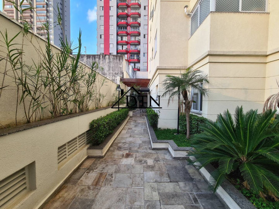 Imagem Apartamento com 3 Quartos à Venda, 77 m² em Vila Guilherme - São Paulo