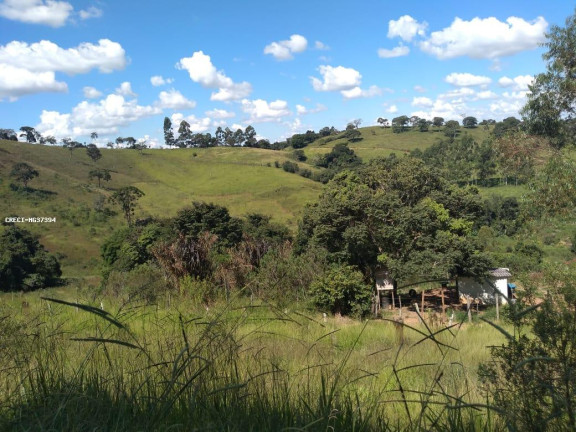 Imagem Chácara à Venda, 1.000 m² em Rio Verde - Caldas Imagem Chácara à Venda, 1.000 m² em Rio Verde - Caldas