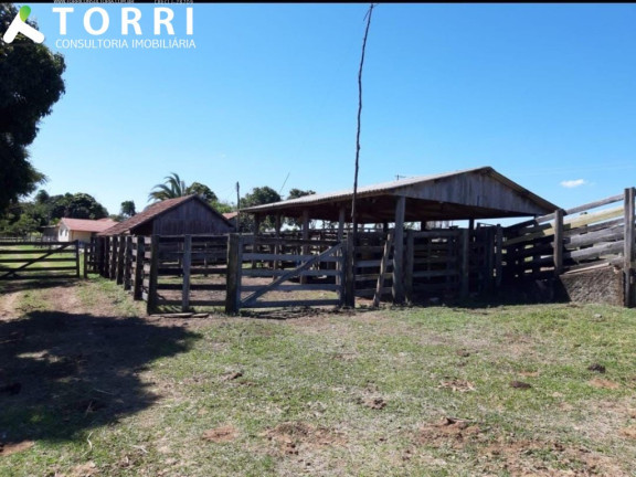 Imagem Imóvel com 3 Quartos à Venda, em Centro - Marília Imagem Imóvel com 3 Quartos à Venda, em Centro - Marília