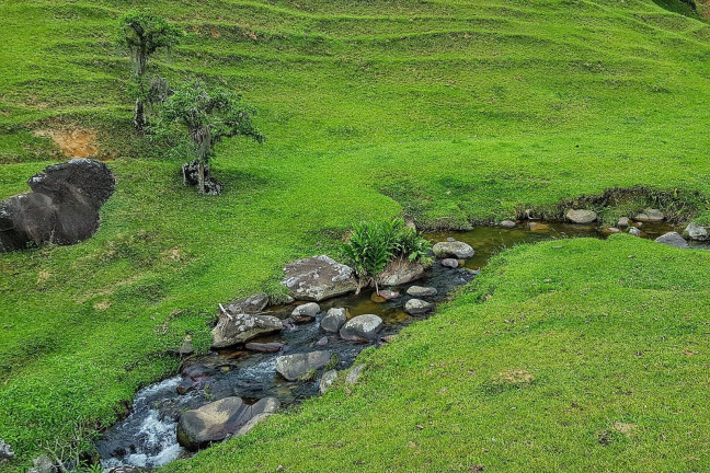 Imagem Chácara à Venda, 330 m² em Palhoça Imagem Chácara à Venda, 330 m² em Palhoça