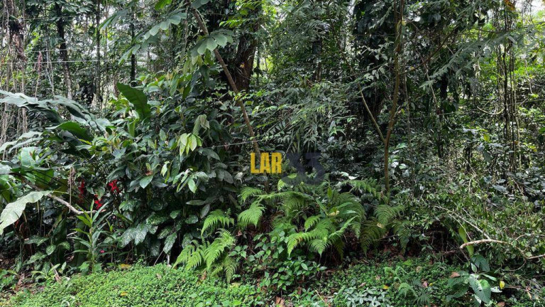 Imagem Terreno à Venda, 700 m² em Felix - Ubatuba Imagem Terreno à Venda, 700 m² em Felix - Ubatuba