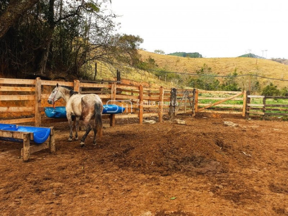 Imagem Imóvel com 2 Quartos à Venda, 1 m² em Três Barras - Cachoeira Paulista Imagem Imóvel com 2 Quartos à Venda, 1 m² em Três Barras - Cachoeira Paulista