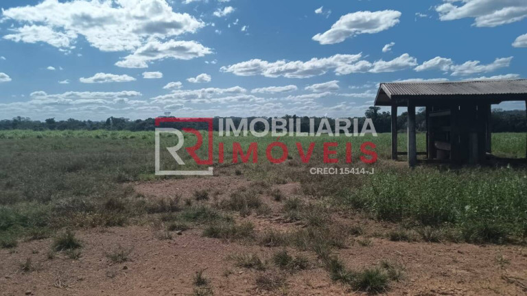 Imagem Chácara à Venda, 1.000 m² em Zona Rural - Alta Floresta Imagem Chácara à Venda, 1.000 m² em Zona Rural - Alta Floresta