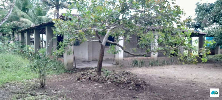 Imagem Chácara à Venda, 3.000 m² em Murici Imagem Chácara à Venda, 3.000 m² em Murici