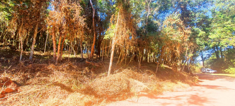 Imagem Imóvel à Venda, 700 m² em Recanto Dos Palmares - Atibaia Imagem Imóvel à Venda, 700 m² em Recanto Dos Palmares - Atibaia