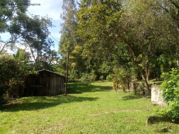 Imagem Imóvel com 3 Quartos à Venda, 70 m² em Linha Pirajá - Nova Petrópolis Imagem Imóvel com 3 Quartos à Venda, 70 m² em Linha Pirajá - Nova Petrópolis