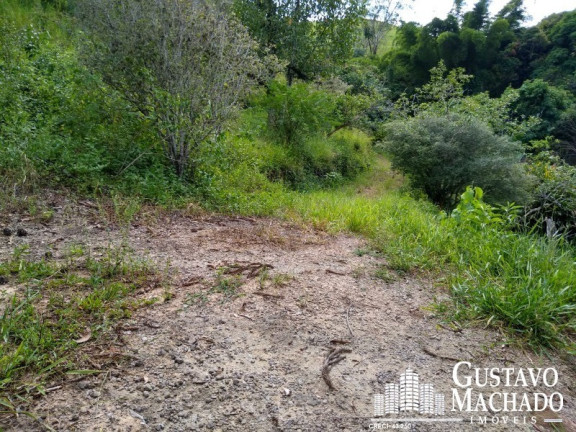 Imagem Terreno à Venda, 19.200 m² em Roma - Volta Redonda