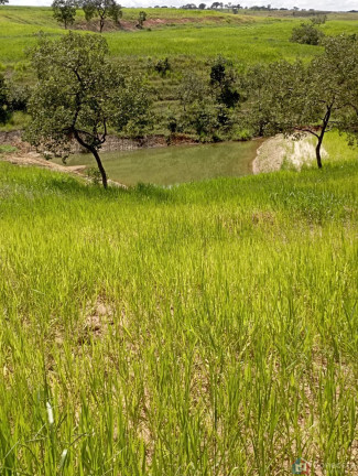 Imagem Imóvel à Venda, 8.080.000 m² em Centro - João Pinheiro