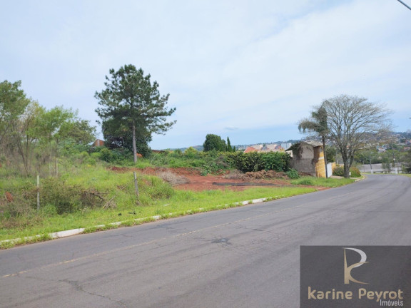 Imagem Terreno à Venda, 385 m² em Campestre - São Leopoldo